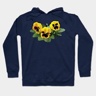 Three Yellow Pansies Hoodie